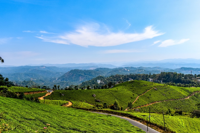 img-Munnar